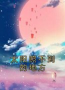 《太阳照不到的地方》小说完结版