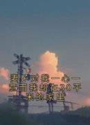 妻子对我一心一意而我却在30平米的