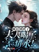 《乔米顾澜城燕鸿笙》小说大结局