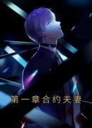《第一章合约夫妻》小说全文免费