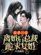 天才三宝：离婚后总裁跪求复婚小