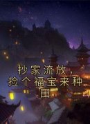 许荞安孟栖元大结局在线阅读 抄家