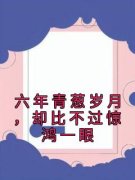 《六年青葱岁月，却比不过惊鸿一