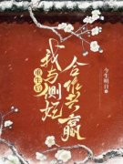 《重生后，我与侧妃合作共赢》小