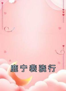 鹿宁裴骁行