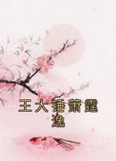 《王大锤萧霆逸》小说章节免费阅