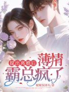 《沈梨顾璟》小说全文精彩章节免