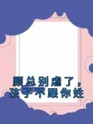 顾总别虐了，孩子不跟你姓顾总别