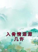 《苏怀洛沈霖琛》小说全文精彩阅