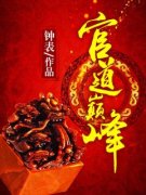 《绝对巅峰》小说全文精彩试读 《