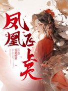 《凤凰飞上天》小说大结局免费阅