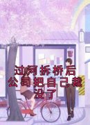 《陶总老金》过河拆桥后公司把自