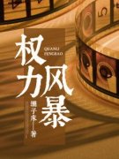 《权力风暴》江云皓龚小琴章节目