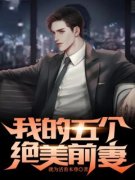 《我的五个绝美前妻》大结局在线
