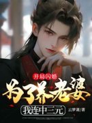 叶栾赵涵芝小说免费阅读 开局闪婚