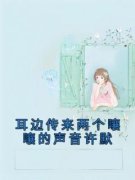 热文《耳边传来两个嚷嚷的声音许