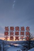好书推荐《诋毁我追名媛没想到我