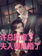 《许总别虐了，夫人要离婚了》小