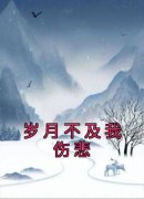 伍夏音顾寒笙小说免费阅读 岁月不