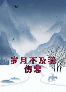 岁月不及我伤悲