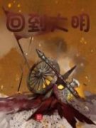 回到大明小说 第六章 李大哥全文精