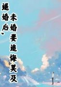 退婚后，未婚妻追悔莫及全章节免
