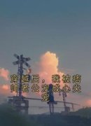 《秦昭昭陆沉》小说大结局在线阅