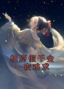 《相府假千金一夜难求》楼星望齐