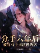 《林觅秦砚》小说在线阅读 《林觅