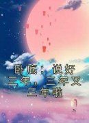 卧底：说好三年，三年又三年啦陈