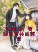 《林奈顾域》小说章节列表精彩试
