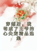 张昔年靖王章节 张昔年靖王小说目