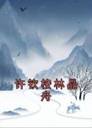 许钦桉林晶舟主角许钦桉林晶舟全