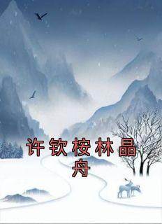 许钦桉林晶舟