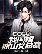 【都市爽文】离婚当天，我闪婚冰