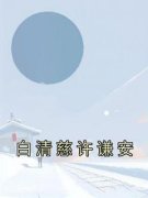 《白清慈许谦安》小说免费阅读 陆