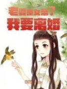 《陆凡洛云霄》完结版精彩阅读 《