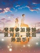 青梅参加婚前派对后，我选择放手