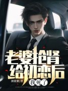 江聿宸叶清欢全文在线阅读 老婆抢