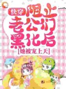 《唐芯秦昭》小说全文精彩阅读 《