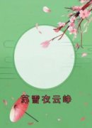 《苏雪衣云峥》小说大结局免费阅