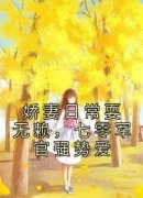 唐宁宋家宝娇妻日常耍无赖，七零