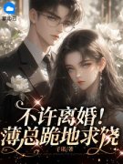 《不许离婚！薄总跪地求饶》小说