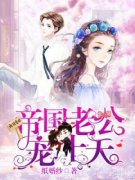 路遥墨云琛书名叫什么_帝国老公宠