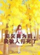 《刘向阳王金》小说章节列表免费