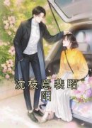 精品热文《沈枝意裴昭阳》沈枝意