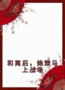 美文阅读《宋惜惜战北望》和离后
