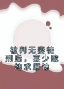 南卿宴忱辞小说 《被判无妻徒刑后