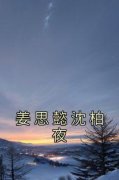姜思懿沈柏夜小说全集免费免费试