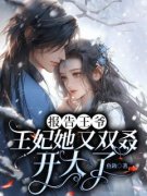 沐清歌贺兰煜小说全集免费免费试